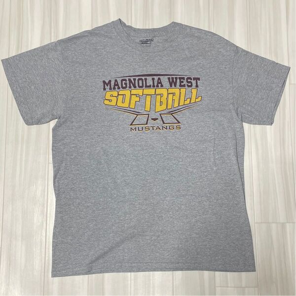 アメカジ半袖TシャツサイズL身幅約54、着丈約70です。ユーズド品洗濯済、プリント部分綺麗です。他にも沢山出品してます。
