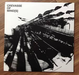 Various Artists (Yaporigami, Wendel Patrick, Le Parasite, My Best Friend Goblin...) - Crevasse Of Mind[s] 