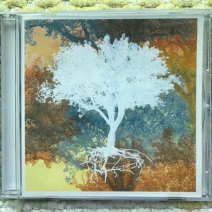 Ashtree close - empty nest