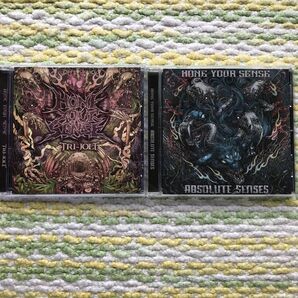 HONE YOUR SENSE - tri-jolt/absolute senses 計2枚セット