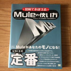  illustration .....Mule. how to use god mountain writing male work the first version no. 1.