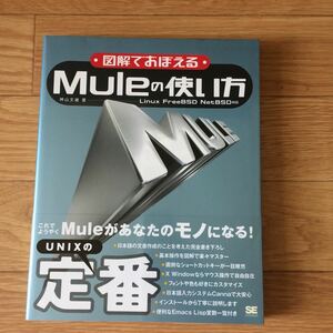  иллюстрация .....Mule. способ применения бог гора документ самец работа первая версия no. 1. эта 2