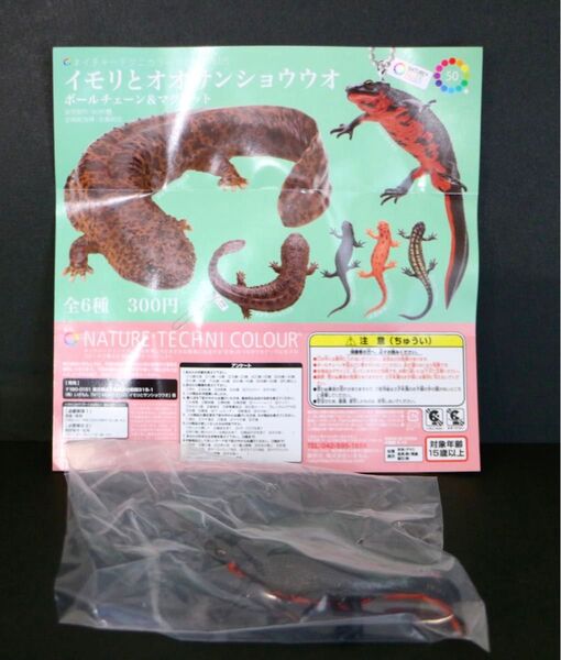 いきもん ネイチャーテクニカラー イモリとオオサンショウウオ アカハライモリ(マグネット) ガチャガチャ フィギュア
