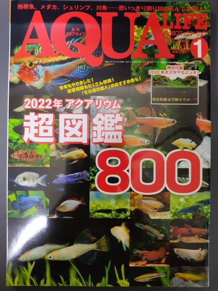 月刊アクアライフ 2022年1月号 (エムピージェー)