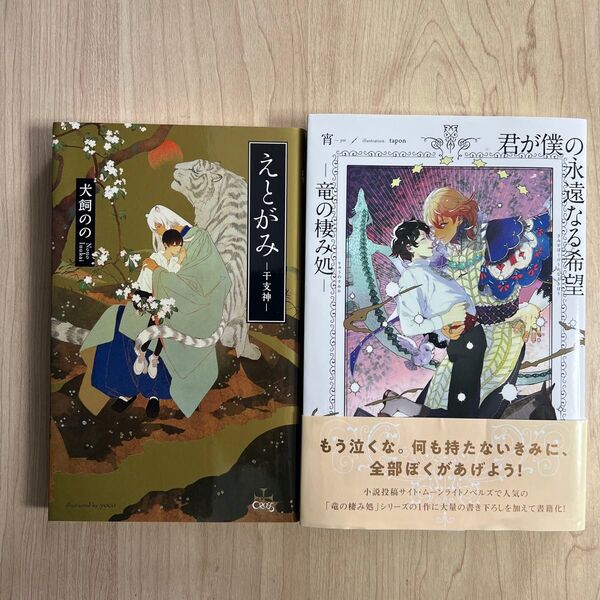 君が僕の永遠なる希望 えとがみ 宵