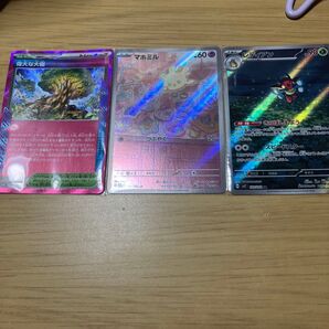 偉大な大樹ACE