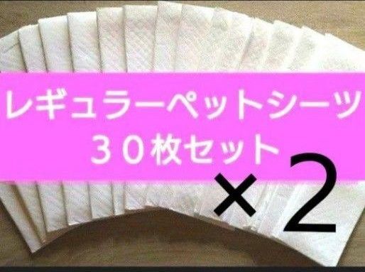 ペットシーツ ペットシート 60枚 セット 災害用 お出かけ 宿泊 お泊まり レギュラー トイレトレーニング 犬 猫 兎 まとめ売