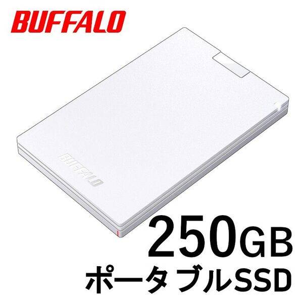 ■美品■バッファロー 外付け ポータブル SSD 250GB■Win/Mac/PS5/PS4 高速 SSD-PG250U3-WC
