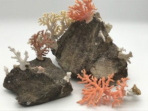 7080☆天然物です、桃色サンゴ、白サンゴ、置物、オブジェ、重さ5,6㎏、すごく良い色をしてます