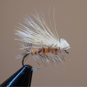 Oエルクヘアカディス 6本