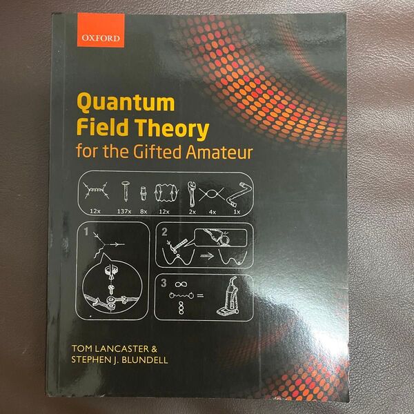 Quantum Field Theory for the Gifted Amateur 場の量子論