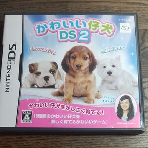 かわいい仔犬DS2