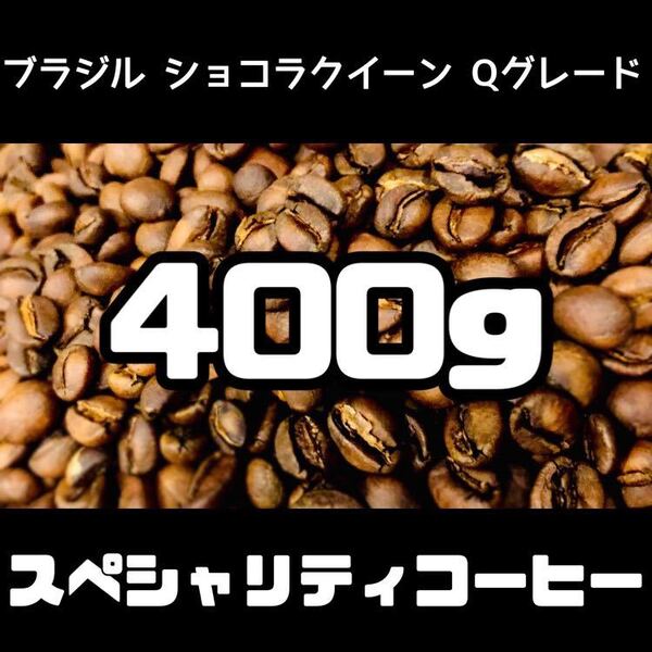 ブラジル クイーンショコラ 400g 自家焙煎 コーヒー豆 珈琲豆