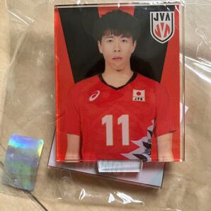 2024VNLバレー男子日本代表ガチャ アクリルバッジスタンド富田