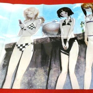 シュタインズゲート STEINS;GATE 両面ポスター