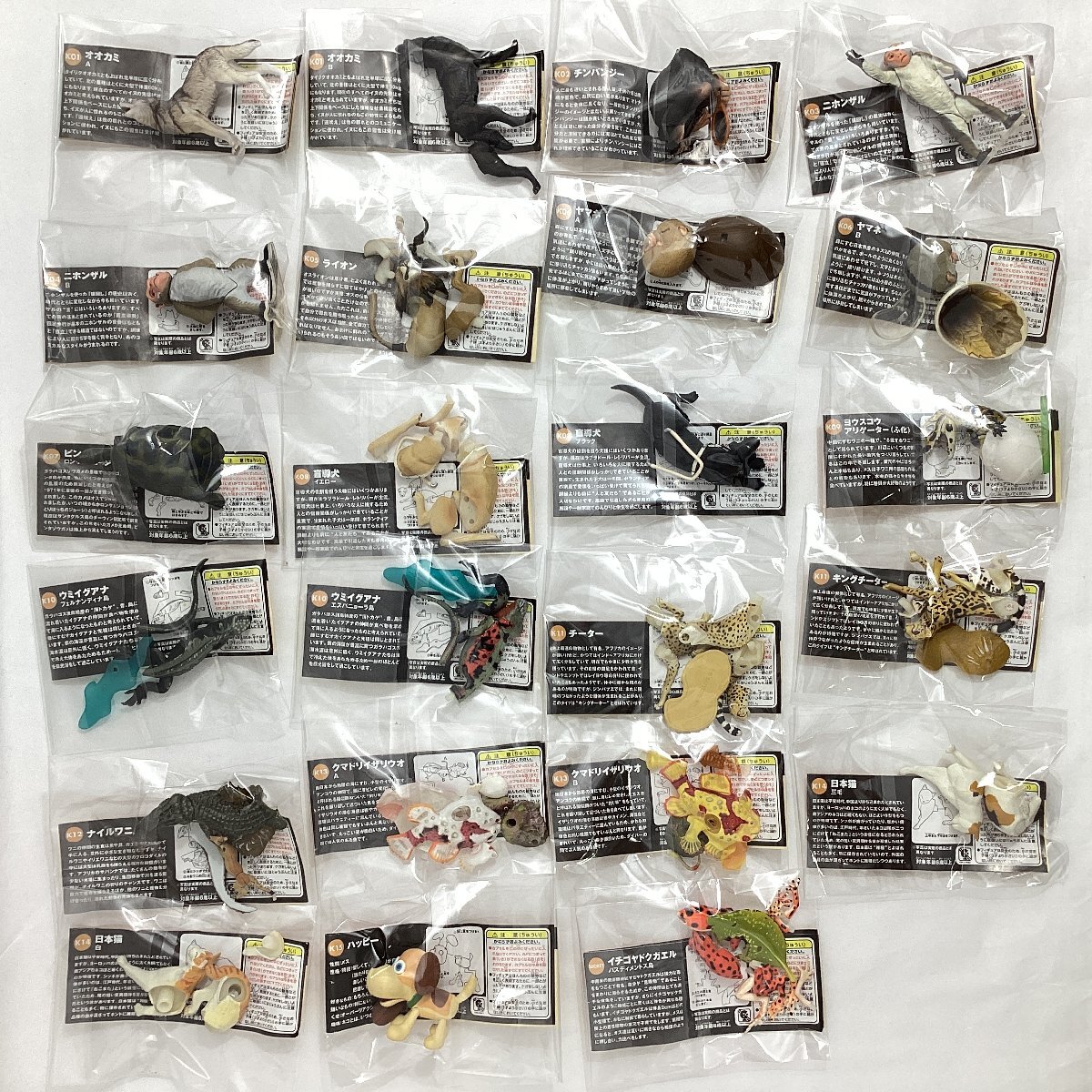2025年最新】チョコQ イチゴヤドクガエルの人気アイテム - メルカリ