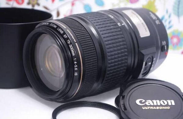 新品級 Canon EF 75-300mm IS USM☆超望遠レンズ☆人気望遠
