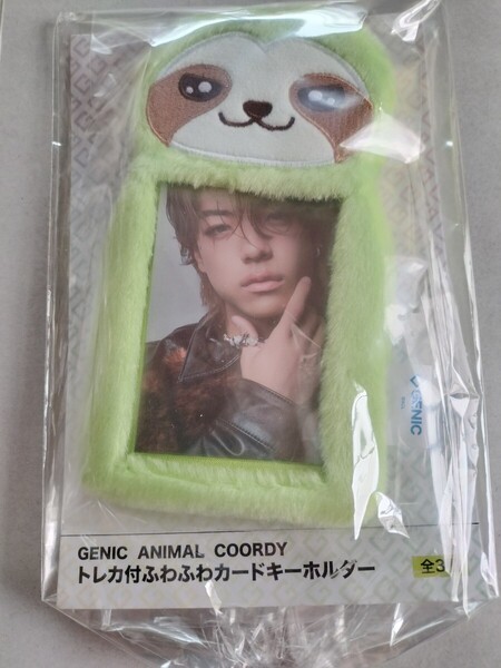 ■非売品■ プライズ品 GENIC トレカ付 ふわふわカードキーホルダー ANIMAL COORDY GIGO