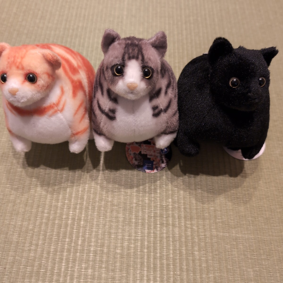 Yahoo!オークション -「zooセット」(ぬいぐるみ) の落札相場