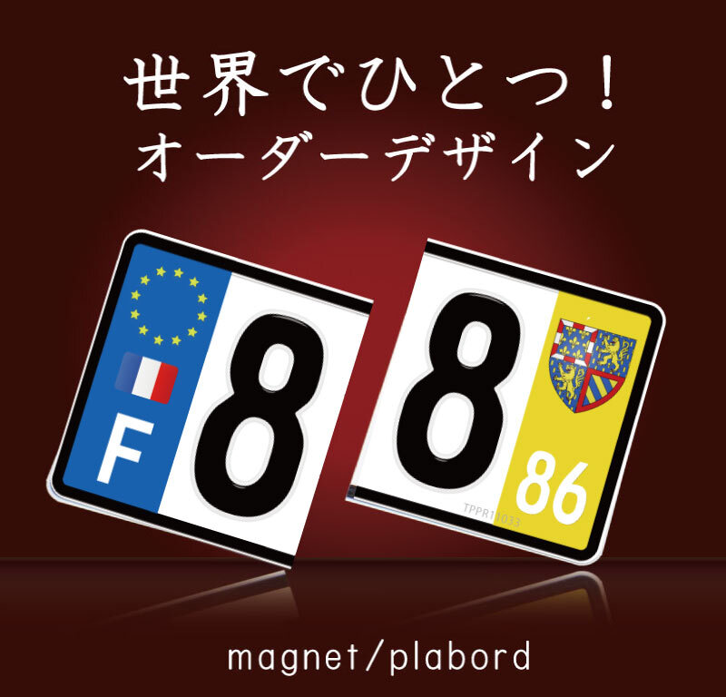 フランス ナンバープレート ユーロナンバープレート フランス 珍しかっ