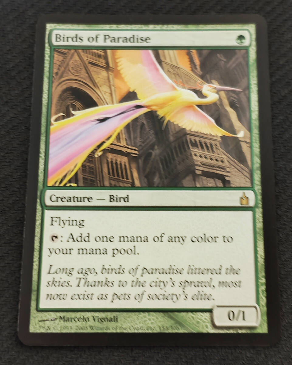 Amazon.co.jp: MTG 極楽鳥Birds of Paradis 英語版 旧枠 foil