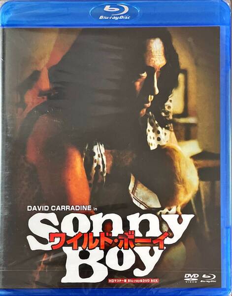 Blu-ray Disc ワイルド・ボーイ HDマスター版 BD&DVD BOX SONNY BOY 未使用未開封品