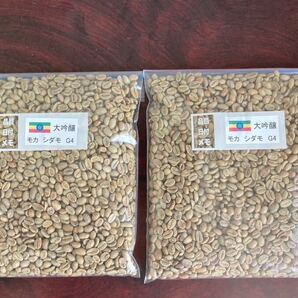 コーヒー生豆 モカシダモG4大吟醸 800g