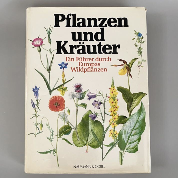 2024年最新】Yahoo!オークション -植物図鑑 洋書の中古品・新品・未使用品一覧 2024年最新】Yahoo!オークション -植物図鑑 洋書の中古品・新品・未使用品一覧