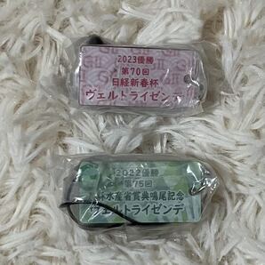 ヴェルトライゼンデ JRA 競馬 アイドルホース ミニコレクション vol.38 GⅡ GⅢ 2点セット ウマ娘