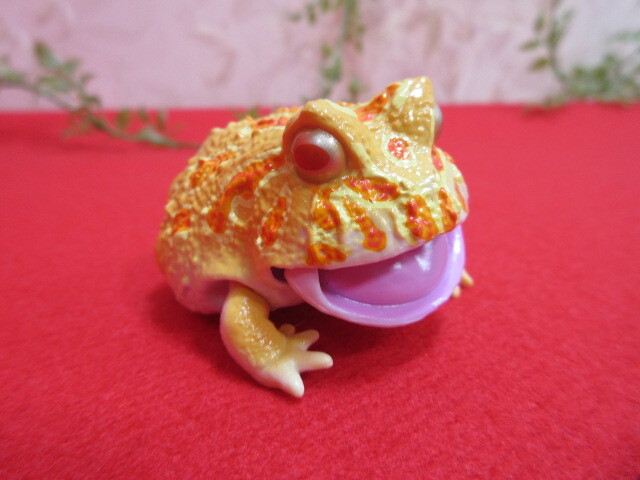 2025年最新】ツノガエルのフィギュアを探そう - Yahoo!オークション