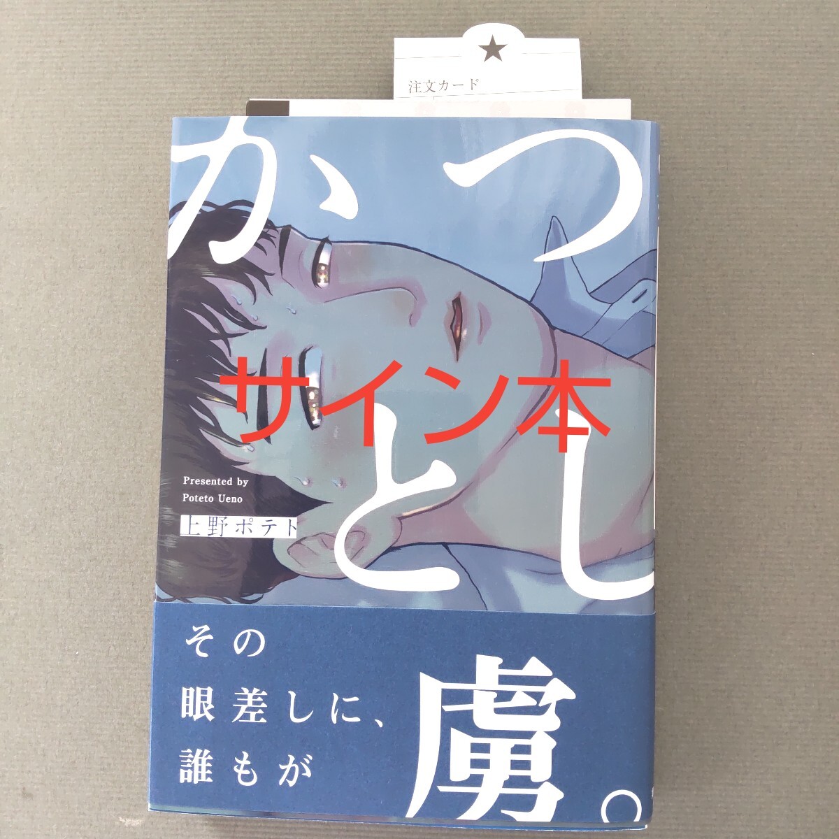 Yahoo!オークション -「イラスト入りサイン本」(その他) の落札