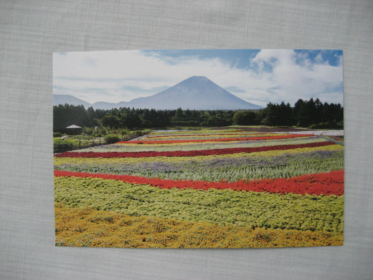 富士山　はがき　ポストカード