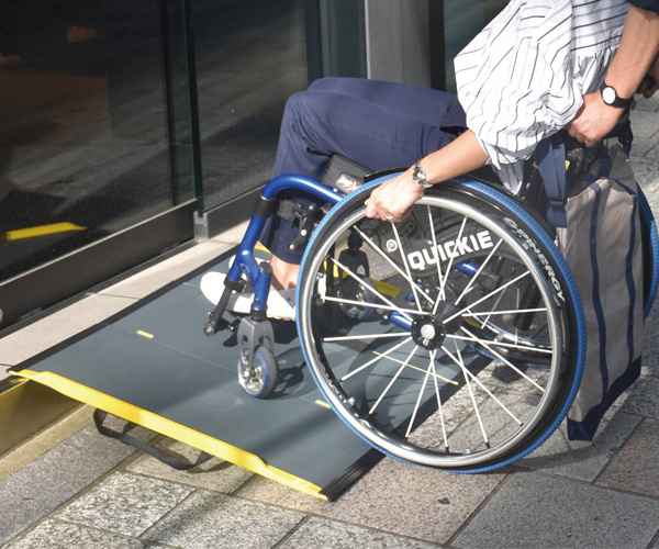 ダンスロープゴー S-50G3 3折タイプ/長さ47cm 最大適用段差10cm(ダンロップホームプロダクツ)専用バッグ付き ダンスロープゴー S-50G3 3折タイプ/長さ47cm 最大適用段差10cm(ダンロップホームプロダクツ)専用バッグ付き