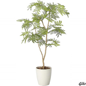 【面倒なお手入れが一切いらず簡単にグリーンを取り入れられるフェイクグリーン】 光触媒 人工観葉植物 光の楽園 ねむの木