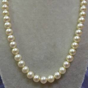 オススメ!上質・天然【アコヤ真珠】7.0~7.5mm珠・43cm・消費税・送料込み・33.2g・ネックレス・新品・本物・鑑別書