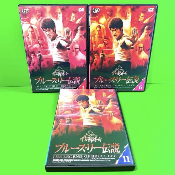 ケース付 ブルース・リー伝説 DVD 全15巻 全巻セット