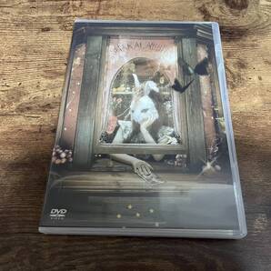 シャカラビッツDVD「神ノ街シアター」SHAKALABBITS PV集●