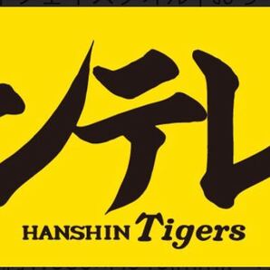 阪神タイガース サンテレビ タオル
