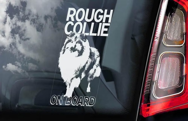 ◆ラフ・コリー/ラフコリー ① 外張り カーステッカー 215×100mm 外貼り カー ステッカー シール スコッチ・コリー コリー 犬 D1@3726