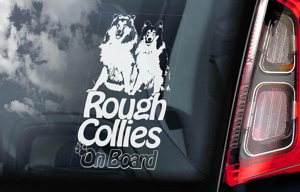 ◆ラフ・コリー/ラフコリー ② 外張り カーステッカー 190×100mm 外貼り カー ステッカー シール スコッチ・コリー コリー 犬 D1@4278
