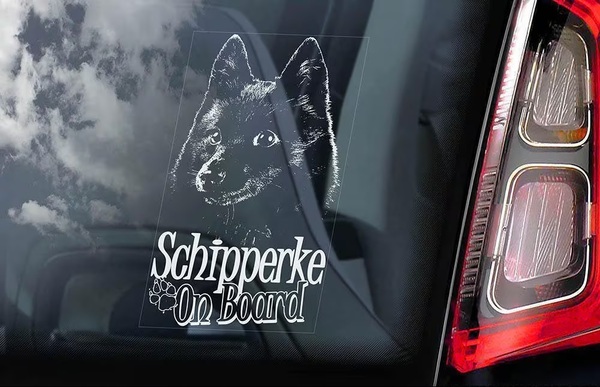 ◆スキッパーキ / シッパーキ / シッパーキー ① 外張り カーステッカー 170×100mm 外貼り カー ステッカー 犬 シール@D1 3943