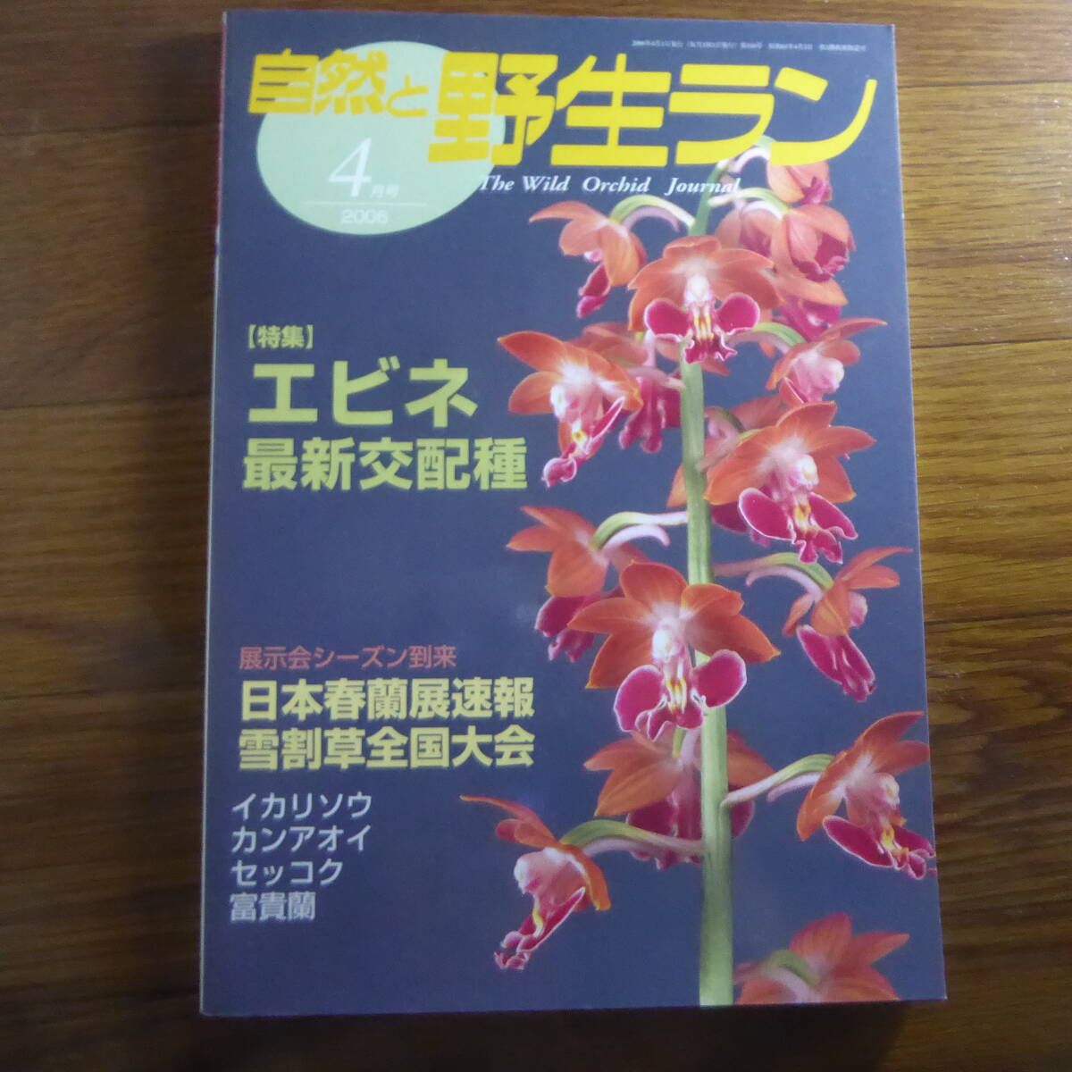 2025年最新】Yahoo!オークション -自然と野生ラン(本、雑誌)の