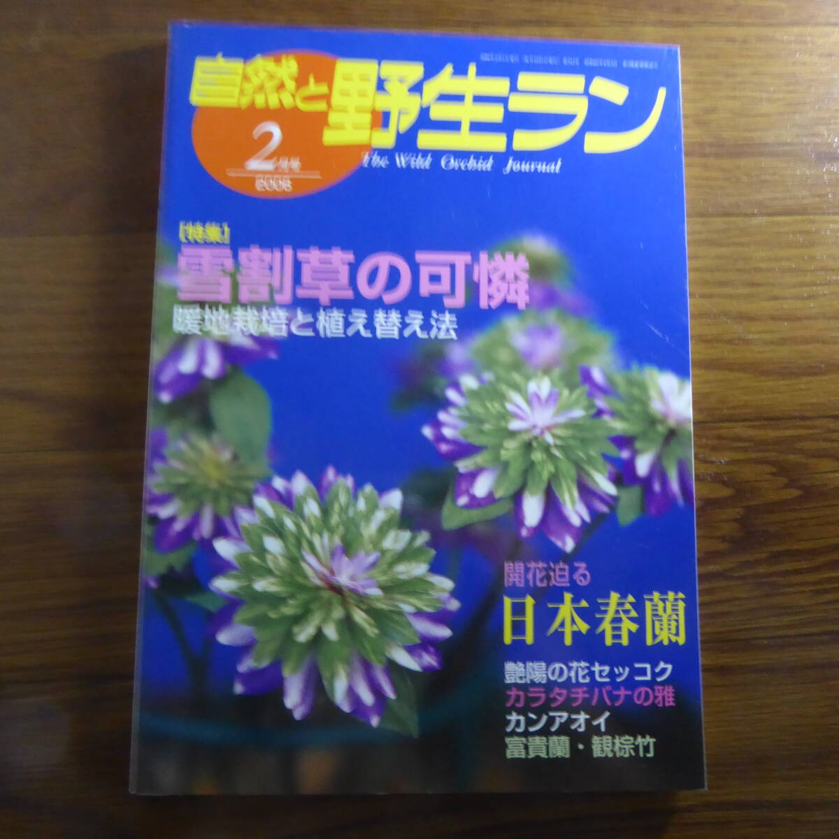 2025年最新】Yahoo!オークション -自然と野生ラン(本、雑誌)の