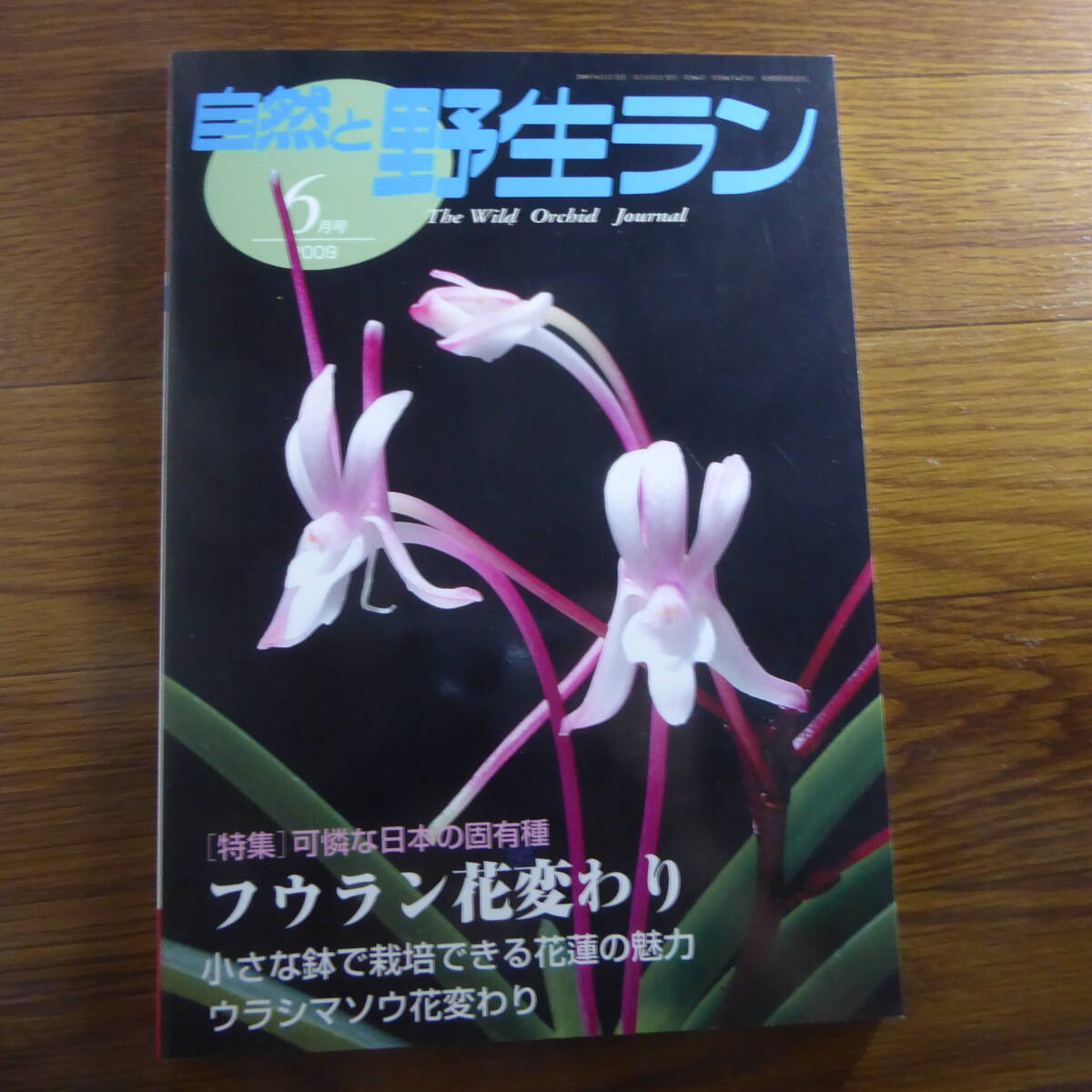 2025年最新】Yahoo!オークション -自然と野生ラン(本、雑誌)の