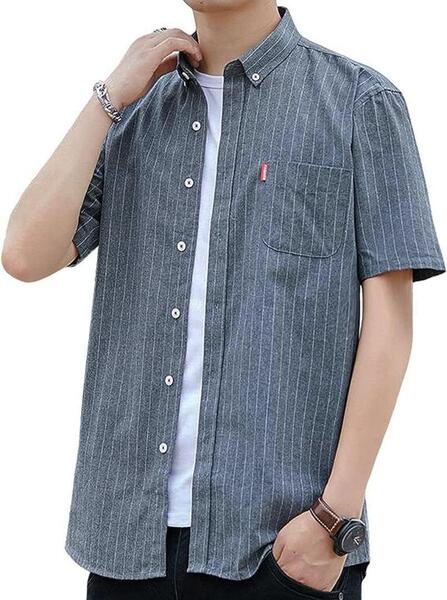 シャツ メンズ 半袖 ストライプ XL