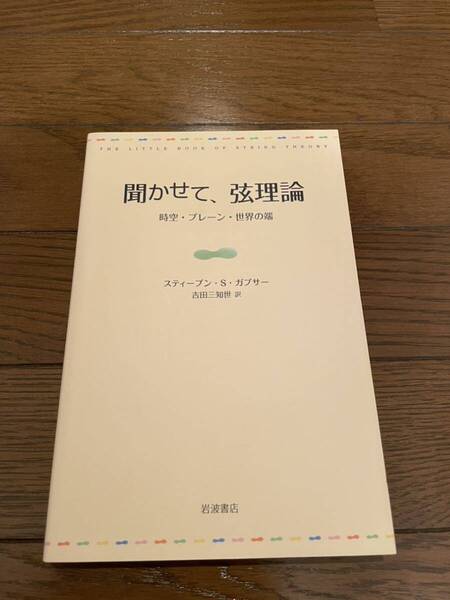 聞かせて、弦理論 スティーブン・S・ガブサー 本 単行本