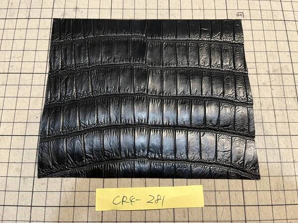 CR4-281★最高級ポロサスクロコダイルテールパネル★革小物制作に最適★世界最高峰クロコダイルタンナーレザークラフトライターペンケース