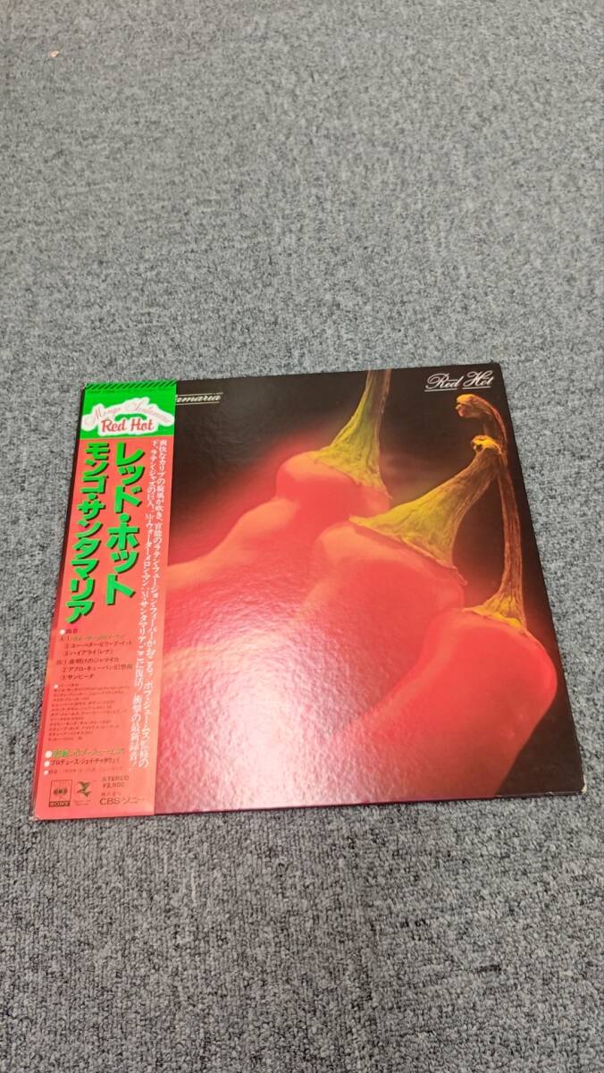 2025年最新】Yahoo!オークション - Red Hot Chili Peppers, The 2025年最新】Yahoo!オークション - Red Hot Chili Peppers, The