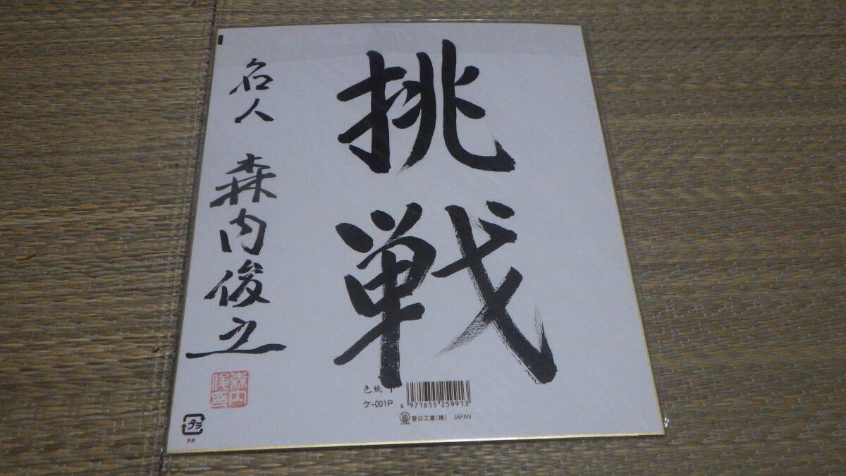 将棋 丸田祐三 九段 直筆サイン色紙 （宛名なし）