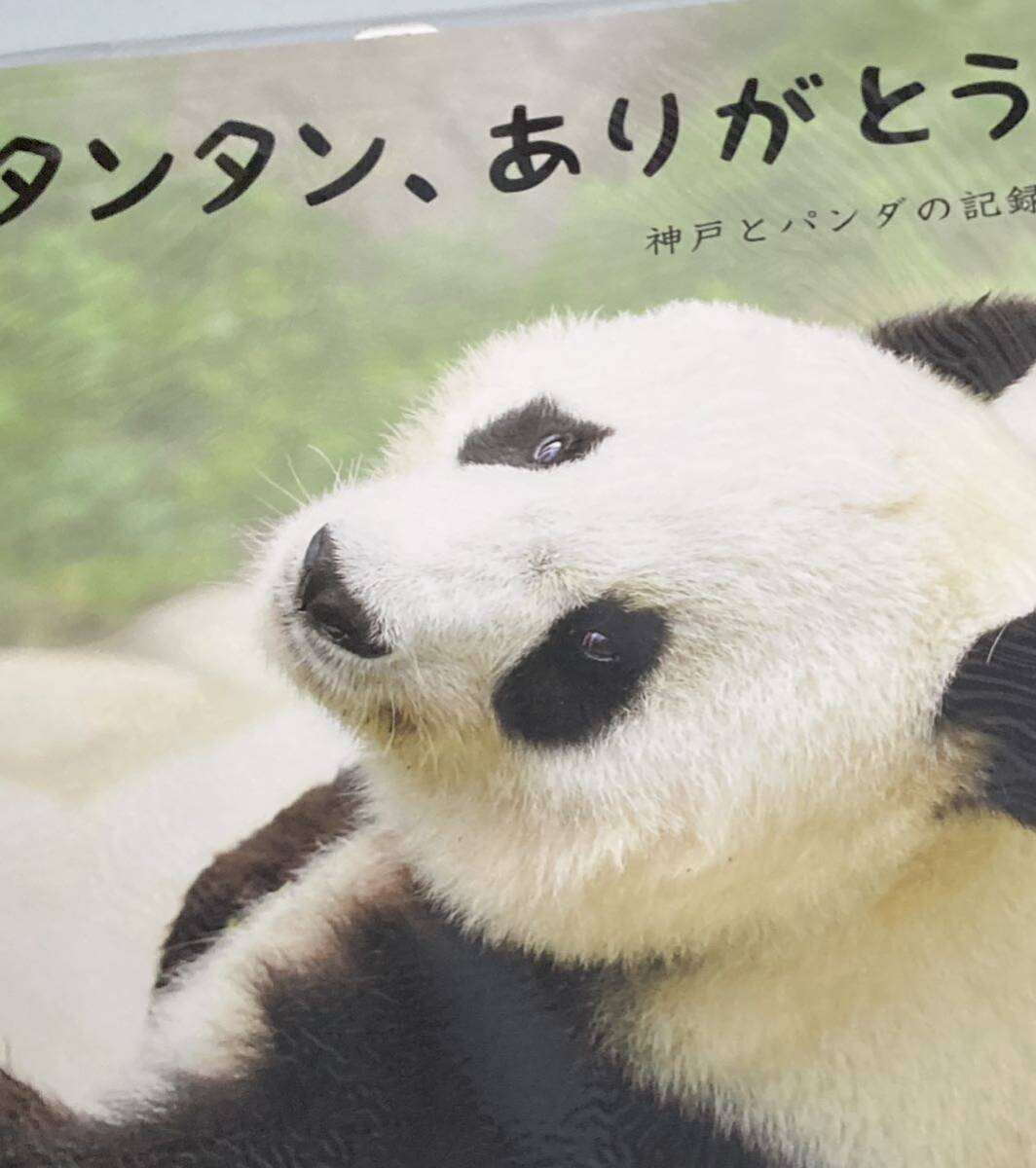 Yahoo!オークション -「タンタン」(パンダ) (動物)の落札相場 Yahoo!オークション -「タンタン」(パンダ) (動物)の落札相場